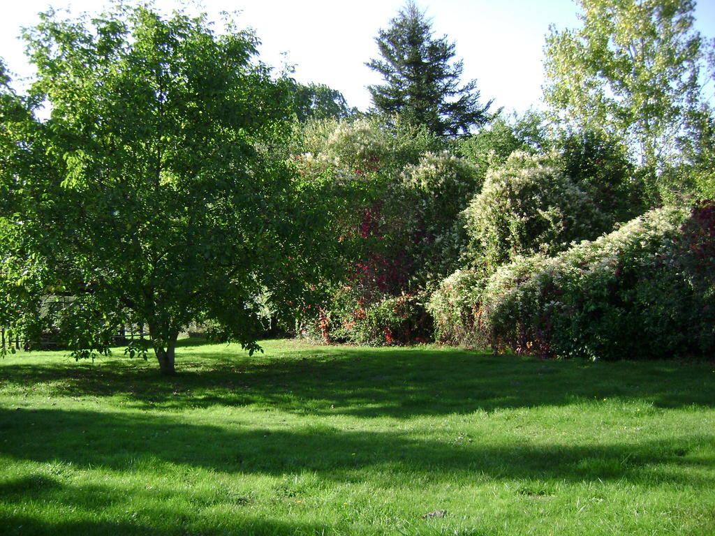 Les Chandelles Bed & Breakfast Villiers-le-Morhier Luaran gambar